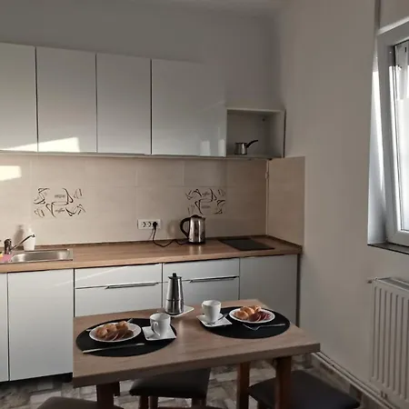 Carla'S Place Ap1 Oradea Exterior photo
